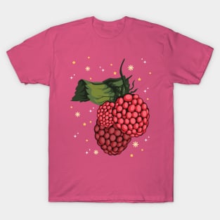 Raspberry Sorbet T-Shirt